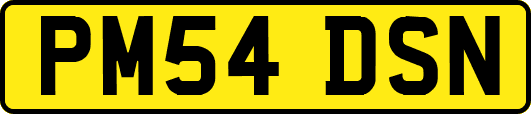 PM54DSN