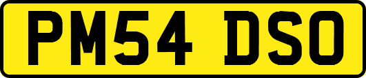 PM54DSO