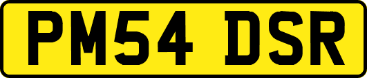 PM54DSR