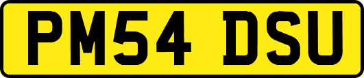 PM54DSU