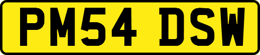PM54DSW