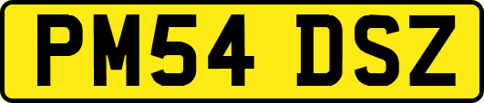 PM54DSZ