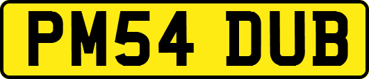 PM54DUB
