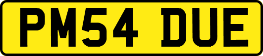 PM54DUE