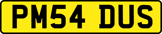 PM54DUS