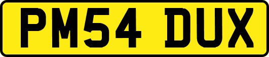 PM54DUX