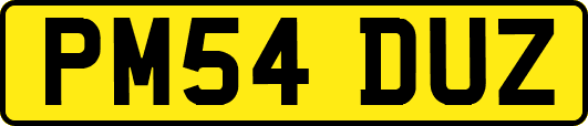PM54DUZ