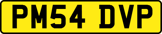 PM54DVP