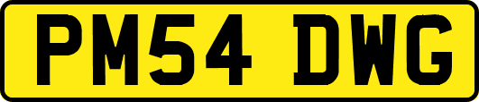 PM54DWG