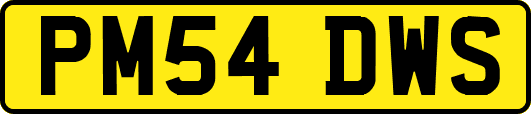 PM54DWS