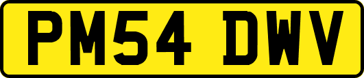 PM54DWV