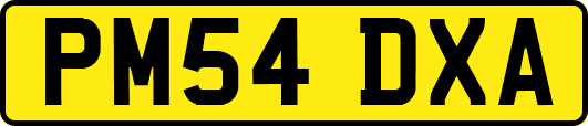 PM54DXA