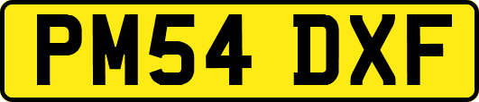 PM54DXF