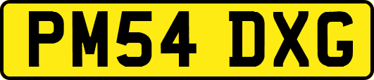 PM54DXG