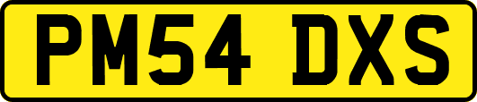 PM54DXS