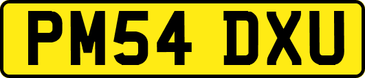 PM54DXU