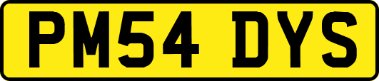 PM54DYS