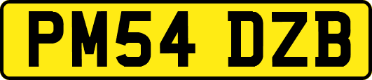 PM54DZB