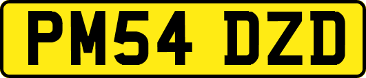 PM54DZD