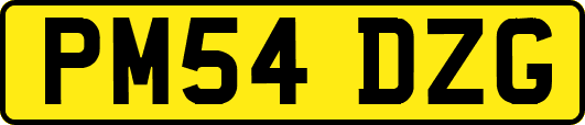 PM54DZG