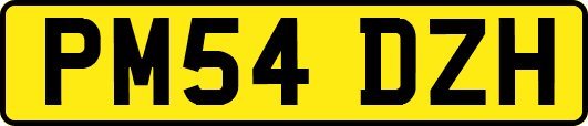 PM54DZH