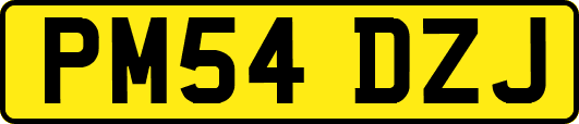 PM54DZJ