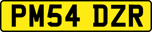 PM54DZR