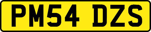 PM54DZS