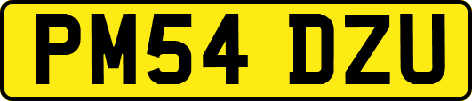 PM54DZU