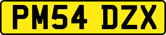 PM54DZX