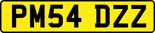 PM54DZZ