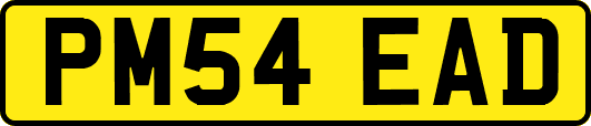 PM54EAD