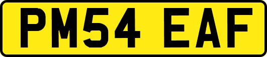 PM54EAF