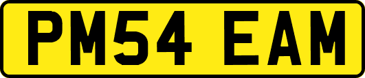 PM54EAM