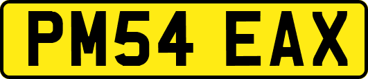PM54EAX
