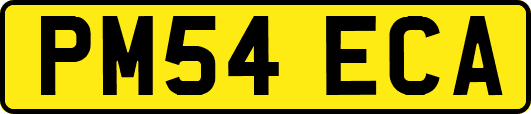 PM54ECA
