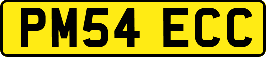PM54ECC