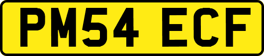PM54ECF