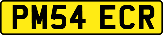 PM54ECR