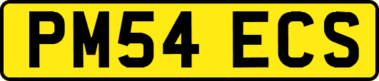 PM54ECS