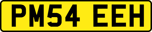 PM54EEH