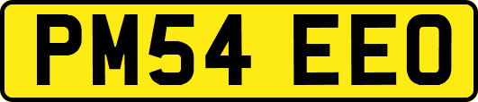 PM54EEO