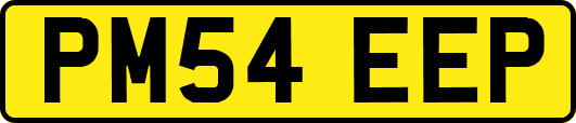 PM54EEP