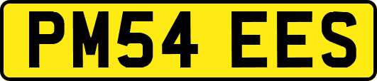 PM54EES