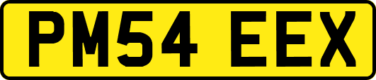 PM54EEX