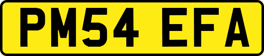 PM54EFA