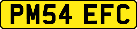 PM54EFC