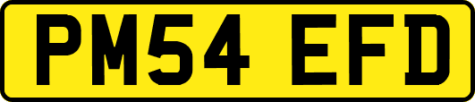 PM54EFD