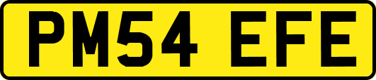 PM54EFE