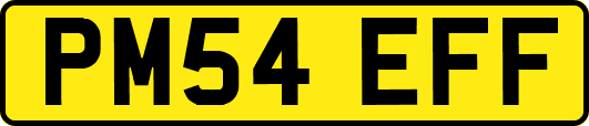 PM54EFF